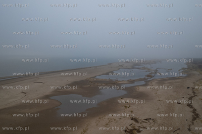 Wyspa Sobieszewska. Rezerwat Mewia Łacha. 19.01.2025...