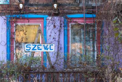 Nowy Port. Szewc orzy ul. Władysława IV. 22.11.2025...