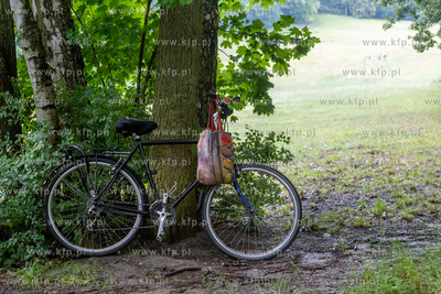Sopot. Łysa Góra. Festiwal „Piano w naturze Sopot”....