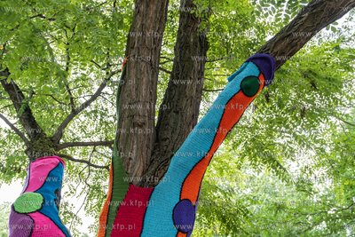 Gdańsk, Strzyża. Plac Gen. Maczka. Nz. Drzewa ozdobione...