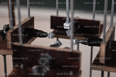 Gdansk. Politechnika Gdanska. Studenci wydzialu  Elektrotechniki...