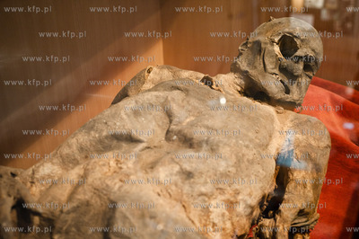 Uniwersytet Gdanski. Wydzial Prawa i Administracji....