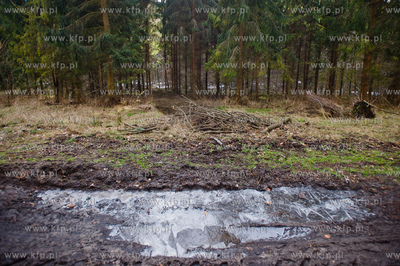 Gdansk. Oliwa, Trojmiejski Park Krajobrazowy. Sciezka...