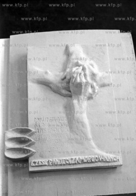 Prezentacja projektów biorących udział w konkursie...