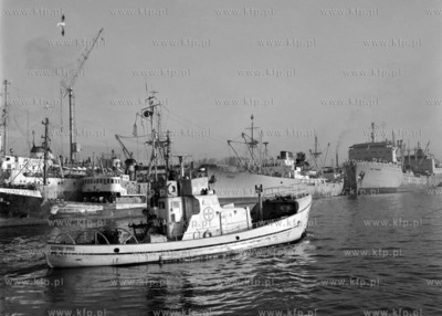 W porcie gdyńskim.
02.1971
0003045z_styczen1971
Fot....