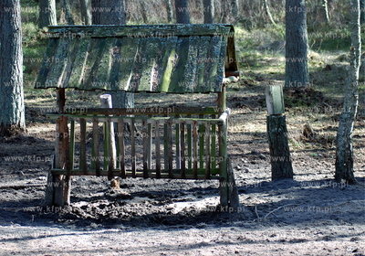 Miejscowosc Ulinia w gminie Wicko. Nz. Pasnik dla zwierzyny...