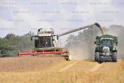 Zniwa w okolicy Pelplina
07.08.2009
fot. Krzysztof...