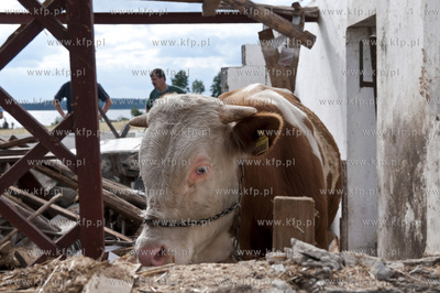 W wyniku trąby powietrznej, która przeszła nad ...