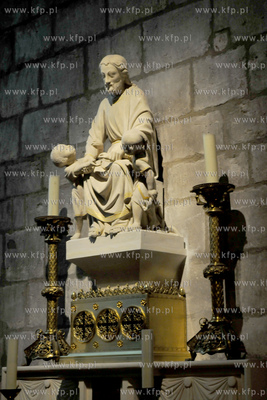 Paryż Wyspa Cite z Placem Św Jana Pawla II.  Katedra...