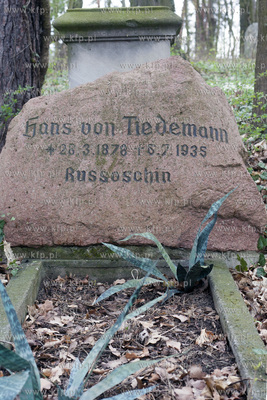 Nagrobki rodziny von Tiedemann na dawnej nekropolii...