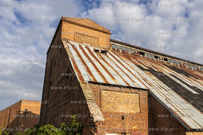 Botaniczny Pruszcz. Spacer badawczy śladem roślin...