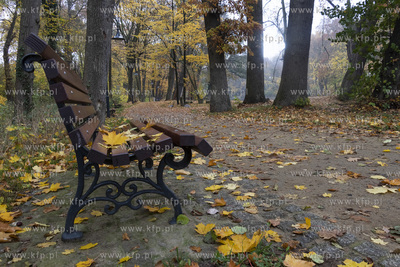 Park w Wojanowie w gminie Pruszcz Gdański jesienią....