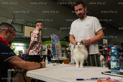 Międzynarodowa wystawa kotów rasowych "Koty na Hawajach"...