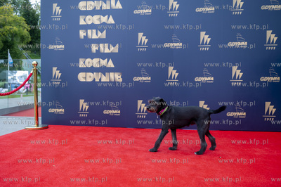 46. Festiwal Polskich Filmów Fabularnych w Gdyni....