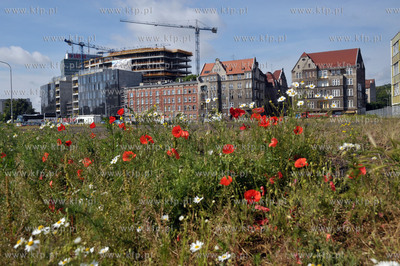 Gdansk. Tereny bylej Stoczni Gdanskiej tzw. Mlode Miasto....