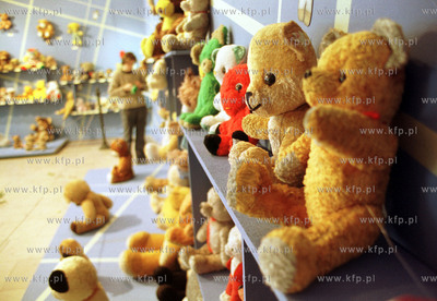 W Gdanskim NCK mozna zobaczyc wystawe misiow pluszowych....