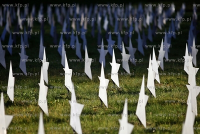 Cmentarz zolnierzy radzieckich w Gdansku.
31.10.2013
fot....