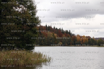 Jezioro przywidzkie.
17.10.2014
fot. Krzysztof Mystkowski...