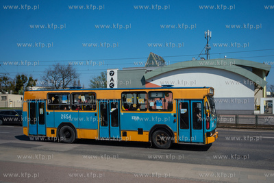 Gdańsk. Żonkilowa parada w ramach akcji Pola nadziei...