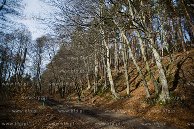 Gdansk. Oliwa, Trojmiejski Park Krajobrazowy. Sciezka...