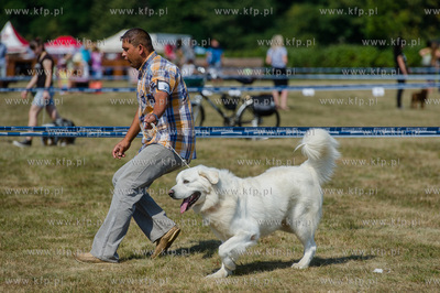 Sopot. Hipodrom. Miedzynarodowa Wystawa Psow Rasowych.
23.08.2015
fot....