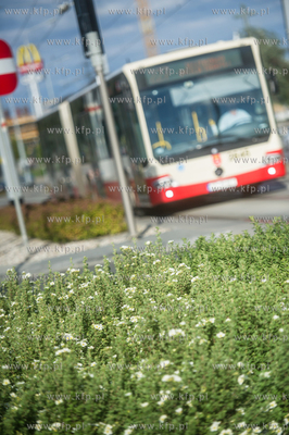 Gdańsk. Morena. Linia tramwajowa Piecki - Migowo....
