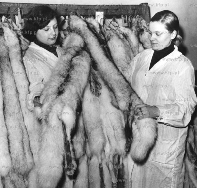 Kolnierz lub futro z bialego, srebrnego lub platynowego...