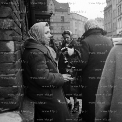 Handel kwiatami pod Halą Targową w Gdańsku. 1963...
