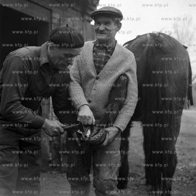 W zakładzie kowalskim Zdzisława Malinowskiego we...