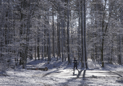 Aktywny przedpołudnie w Trójmiejskim Parku Krajobrazowym....