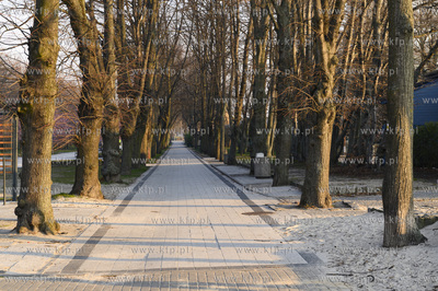 Gdynia. Plac przed plażą miejską. 28.03.2020 Fot....