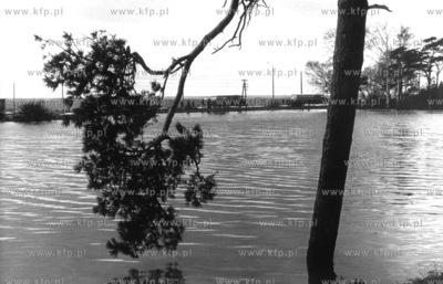 Powodz na Polwyspie Helskim. 01.1983 Fot. Zbigniew...