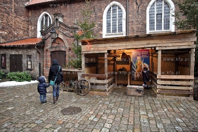 Zywa szopka bozonarodzeniowa w kosciele sw. Trojcy...