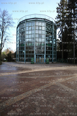 Palmiarnia w Parku Oliwskim. 04.01.2013 fot. Krzysztof...