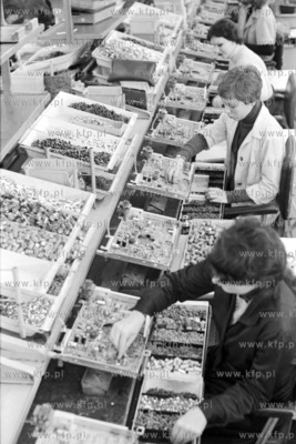 Linia produkcyjna telewizora Netun 150 w Gdańskich...