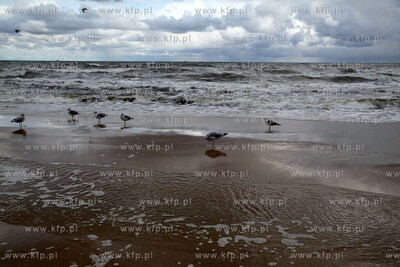 Sopot. Sztormowa jesienna pogoda. 13.10.2009 fot. Jerzy...