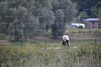 FETA XIV Miedzynarodowy Festiwal Teatrow Plenerowych...