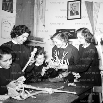 Zajecia z anatomii byc moze w Akademii Medycznej w...