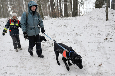 Przewodnicy z psami poszukiwali zaginionej kobiety...