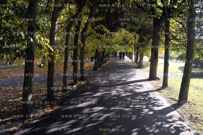 Park Oliwski w Gdansku Oliwie. Jesienna alejka. 23.10.2011...