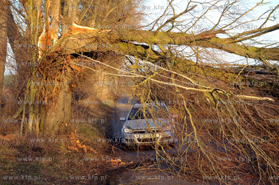 Polamane drzewa na drodze miedzy Leznem a Sulminem...