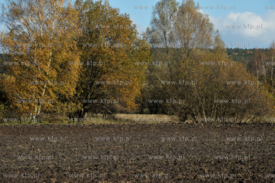 Wies Sulmin na Kaszubach. Okolica widziana z drogi...