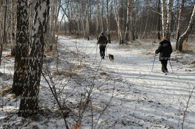 Gdansk Nowy Port. Tereny Szanca Zachodniego pomiedzy...