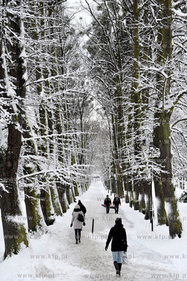 Zima w Parku Akademickim na al. Zwyciestwa w Gdansku-Wrzeszczu....
