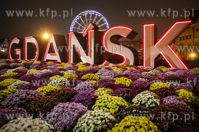 Kwiaty pod napisem Gdańsk na Ołowiance, które Fundacja...
