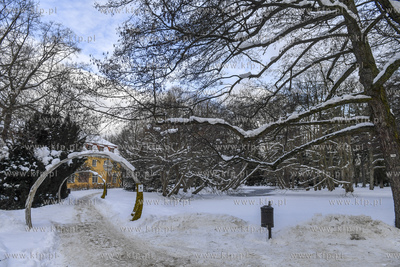 Park Oliwski zimą. 12.02.2021 fot. Paweł Marcinko...
