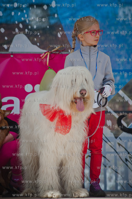 Sopocki Rynek Artystyczny i Ludowy Sopotello. Psia...