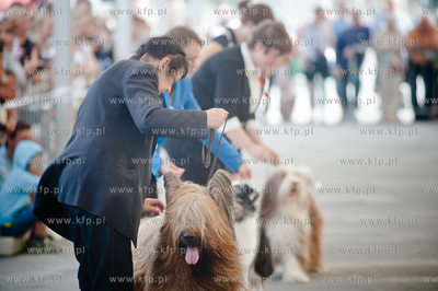 Gdansk. Teren przed stadionem PGE Arena. Miedzynarodowa...