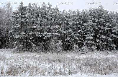 Zimowa aura na drodze krajowej nr 20, Koscierzyna -...