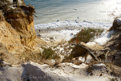 Mrozny poranek w Gdyni Orlowie. Nz. klif  24.01.2010...